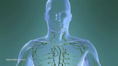 Your lymphatic system - why and how to get it moving