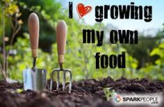We love backyard gardening and are sad to see the season winding down. How many of you still have gardens that are going strong? | via @SparkPeople #grow #healthy #home #food