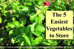 The 5 Easiest Vegetables to Store and the Awesome Root Cellar Makeover