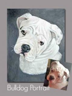 Bulldog pet portrait - acrylic on canvas