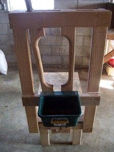 bldging a goat milking stand.  this would make things much easier