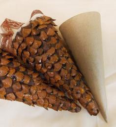 Pine cone tussie mussie nature handmade DIY