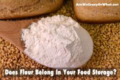 Does Flour Belong In Your Food Storage? - Are We Crazy, Or What?