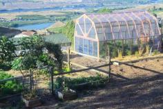 The Completed Elliott Homestead Greenhouse