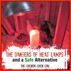 Whether from falling, being knocked over or simply swinging into contact with a flammable object, the traditional heat lamp is just plain hazardous even when vigilantly employed. The EcoGlow acts more like a mother hen, costs pennies to run and is SAFE.