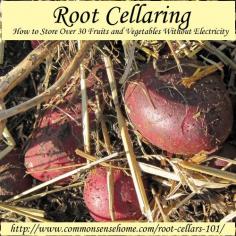 Root Cellars: The Low Cost Way to Store Over 30 Fruits and Vegetables Without Electricity.  How to design a root cellar?   What can I store in a root cellar?