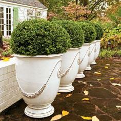 Easy Inviting Boxwoods - Fall Container Gardening Ideas - Southern Living