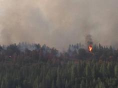 The King Fire Chronicles: Life on the Edge of a Natural Disaster - See more at: www.theorganicpre...