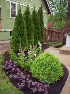 Landscaping Shrubs.../