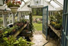 greenhouse of old windows