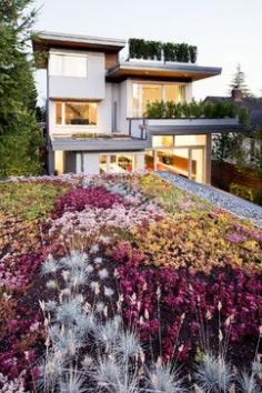 12 insanely gorgeous home gardens!