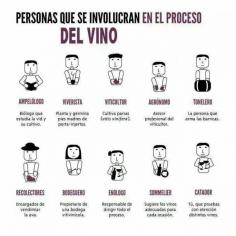 Personas que se involucran en el mundo del vino (pineado por @OrgulloWine)