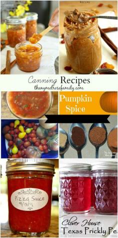 Canning Recipes collected by The NY Melrose Family www.thenymelrosef... #canning #recipes