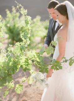 Tented Beauty in Paso Robles by Michael & Anna Costa Photography