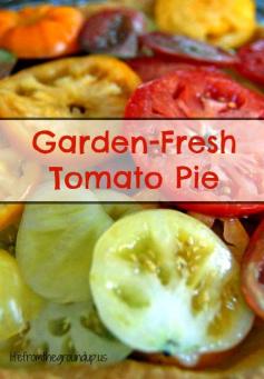 A Slice of Tomato Pie - life from the ground up
