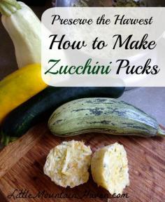 How to Make Zucchini Pucks! A great way to Preserve Your Zucchini/Summer Squash!
