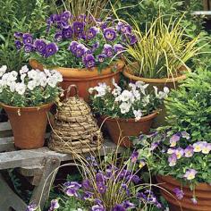 Secrets for Great Fall Pots - Southern Living