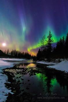 Aurora moonset ... by Cj Kale on 500px