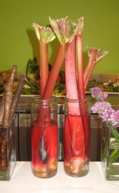 "everything you need to know about growing rhubarb"...I don't have the best climate for it, but in raised beds I might be able to pull it off. Maybe should plant in the middle of winter!