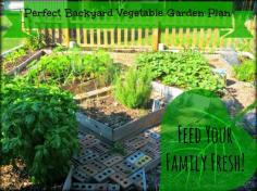 Greneaux Gardens: Perfect Backyard Vegetable Garden Plan: Feed Your Family Fresh!
