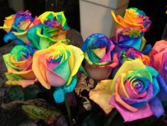 Most people love the look of red roses but what about rainbow roses? These beautiful looking flowers are great for special occasions, gifts, crafts, and home decor. Turning a rose into gorgeous rainbow colors is actually pretty easy and fun! Cut Out & Keep blog will teach you how to make these by providing you … Continue reading »