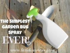 This is the easiest recipe for bug spray for your garden but it really works! | via @Merissa Alink (Little House Living)