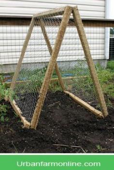 Garden trellis - increase growing space and protect sun-sensitive plants