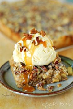 Apple Pecan Bars are one of our favorite fall desserts! This awesome apple bars recipe is easy to make with a cake mix crust.