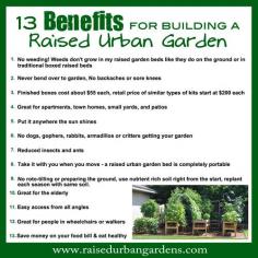 Do you love to garden but are tired of not being successful at it? I was too so I designed a unique new way to garden. Find out 13 benefits to gardening this new way. Never pull weeds or bend over...it's fun, easy, and it works! #urbanliving #gardening