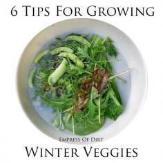 6 Tips For Growing Winter Veggies | eBay