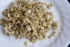 sprouting lentils at home in a mason jar