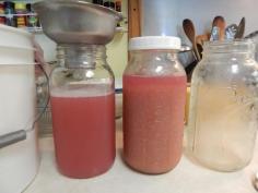 Thoughts from Frank and Fern: Grape Juice- processing and canning grape juice  #preserve #canning