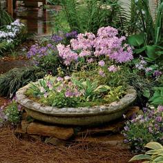Spectacular Container Gardening Ideas - Southern Living