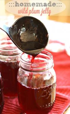 Homemade Wild Plum Jelly- Perfect on a slice of homemade bread!