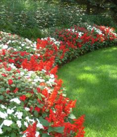 Natural-Garden-Design-Flower-Bed-Edging-Red-And-White-Flower-Ideas