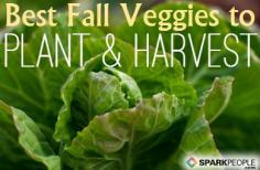 Fall veggies you can plant RIGHT NOW! | via @SparkPeople #food #garden #vegetable #grow