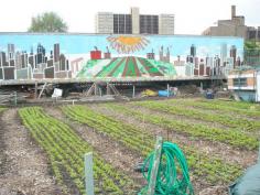 San Francisco is about to become the first city in the U.S. to incentivize urban farming as part of the state’s Urban Agriculture Incentive Zones Act.