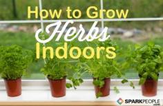 Summer may be gone, but you can still grow some fresh & delicious plants indoors. Start with an easy herb garden to add fresh flavor to your recipes! | via @SparkPeople