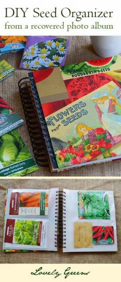 Convert a photo album into a snazzy new seed organiser - such a fun, useful, and cute project! #gardening #craft #gardenart