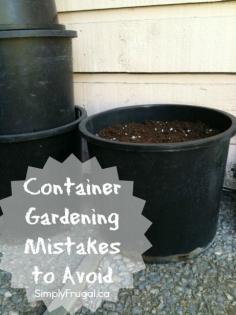Here are 5 container gardening mistakes to avoid. | via @Taya (SimplyFrugal)