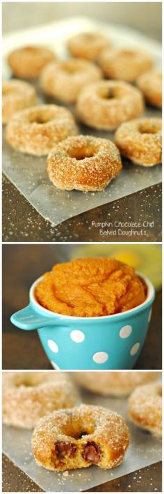 Pumpkin Chocolate Chip Doughnuts are perfect for fall. This baked donut recipe is so easy to make and I love them combination of pumpkin and chocolate!