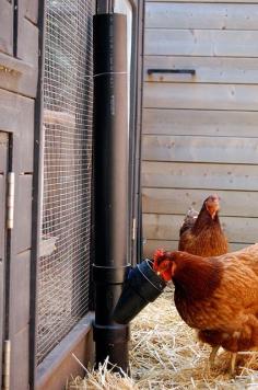 DIY no spill chicken feeder. For those messy, feed throwing hens.