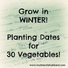 Winter Vegetable Planting Dates (zone 6)