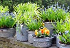 By planting in pots, buckets, whiskey barrels, grow bags, or whatever else you find around the house, you'll be adding aesthetic interest and practicality to your yard and home.