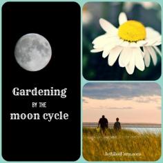 Gardening by the moon cycle