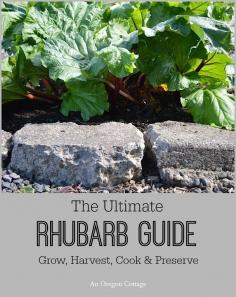 The Ultimate Rhubarb Guide: Grow, Harvest, Cook & Preserve - An Oregon Cottage