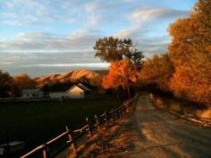 Here's how to use autumn leaves throughout the garden. Photo copyright Teresa O'Connor.