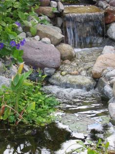 Does your backyard landscaping need a little something extra? Just add water! "Water transforms the backyard into an oasis of cool comfort."