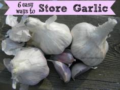 Gathering your fall harvest for the winter? Follow these 6 easy ways to store garlic and have fresh and flavorful garlic all year long.