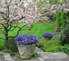 Spring-Flower-Landscaping